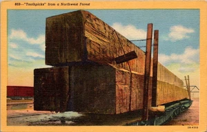 TOOTHPICKS from Northwest Forest GIANT TIMBERS logging linen Postcard - Picture 1 of 2