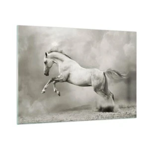 Impression sur Verre 100x70cm Tableaux Image Photo cheval animal Art Decoration - Foto 1 di 10