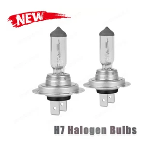2x Halogen Headlight H7 Bulbs High/Low Beam For Mercedes-Benz E350 2008 - 2011 - Picture 1 of 12