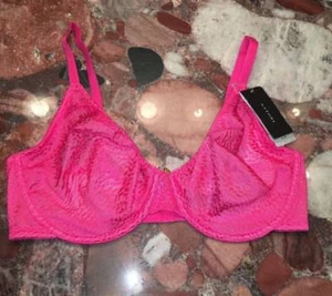 Nuevo con etiquetas $50 Natori Rosa Orquídea Plunge Forrado Suave Taza Moldeada Sexy Sujetador UW 36A - Imagen 1 de 4