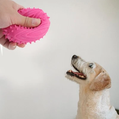 4 Pcs Puppy Balls for Small Dogs Football Chew Toys Squeaky - Image 1 of 4