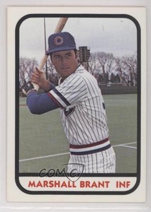 1981 TCMA Minor League Marshall Brant #643