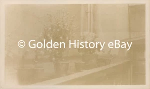 ANTIQUE 1930 REAL PHOTO PHOTOGRAPH FASHION PEOPLE NELSON ST FUSHIA FLOWERS  - Foto 1 di 2