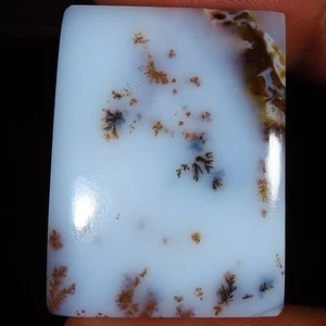 37.25 Cts Natural Scenic Dendritic Agate Cushion Cab Gemstone 22x30x5 mm WR238 - Picture 1 of 7