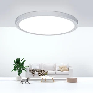 Flush Mount Ceiling Light Fixtures,24W Flat Led Light for Ceiling,6000K 2200LM U - Picture 1 of 12