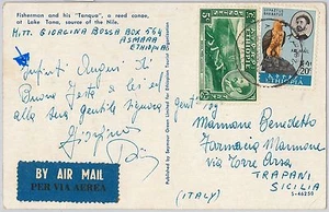 56732 - BIRDS  - ETHIOPIA - POSTAL HISTORY:  STAMPS on POSTCARD 1950'S Eagle - Picture 1 of 1