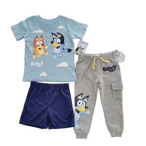 Bluey Boys Short Sleeve T-Shirt Shorts and Pants Set 3 Pieces Size 2T Toddler - Picture 1 of 4