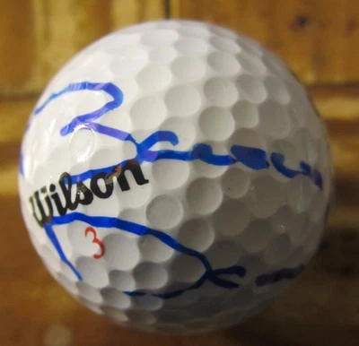 Brian Davis Golfer Autographed Signed Wilson Golf Ball PGA Tour - Image 1 of 2