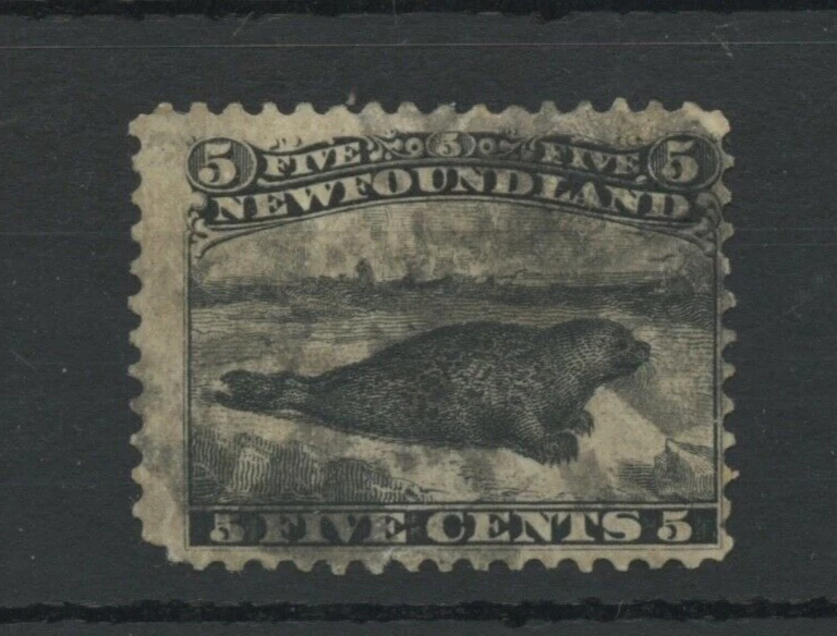 🍁NFLD #26 cinco centavos negro usado Fine Cat $200 Terranova Canadá Foto 1 de 1
