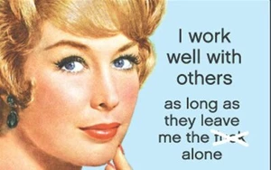 I work well with others as long as they leave me the **** alone Fridge Magnet - Picture 1 of 1