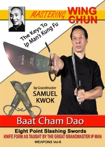 MASTERING WING CHUN The Keys To Ip Man’s Kung Fu By Grandmaster Samuel Kwok V-6 - Picture 1 of 1