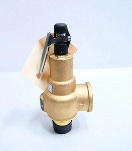 Kunkle 6010HGM01AAM 1-1/2" Dampf Sicherheitsventil 250 PSI ASME Abschnitt I Neu - Bild 1 von 10