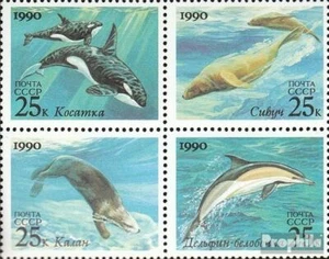 Soviet-Unione 6130-6133 Quartina (completa Edizione) usato 1990 Marine Mammal - Foto 1 di 1