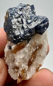 124 Karat blauer Spinell Kristall mit Clinohumit & fluoreszierendem Phlogopit auf Matrix - Bild 1 von 18