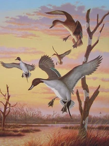 Harry Antis Für den Abend Pintail Ente Kunstdruck Jagdschloss Hütte - Bild 1 von 3