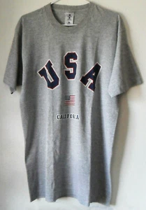 Vintage Gray Fruit of the Loom T-SHIRT w/ USA, California, American Flag, Size L - Picture 1 of 11