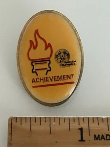 Special Olympics Torch Achievement Anstecknadel - Bild 1 von 4