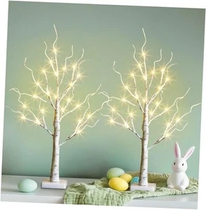 PEIDUO Easter Decorations, 2FT Birch Tree with LED Lights, Warm White Light up - Picture 1 of 7