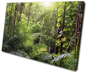 Tropical Rainforest Jungle Landscapes SINGLE CANVAS WALL ART Picture Print - Picture 1 of 1