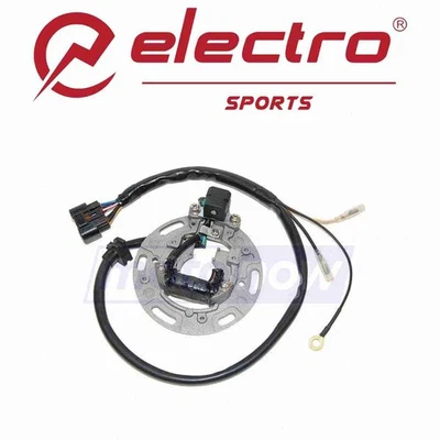 Electrosport Stator for 2001-2005 Kawasaki KX100 - Electrical Electrical gl Foto 1 de 4