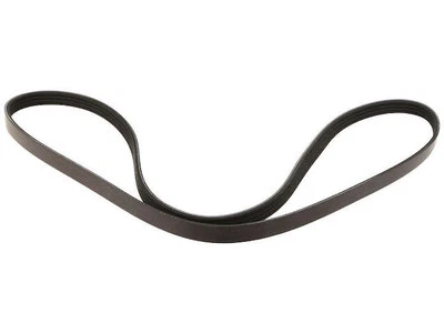 Cinturón multi costilla para Ford Transit Connect 2014-2022 Motorcraft 64755MHHK 2015 2016 Foto 1 de 2