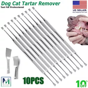 Dental DeScaler Tooth Dog's Tartar Removal Tool Pets Plaque Calculus Remover CE - Picture 1 of 5