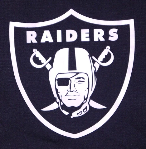 Mens EUC NIKE On-Field Team Issued NFL LAS VEGAS RAIDERS Training Jacket size L Cover