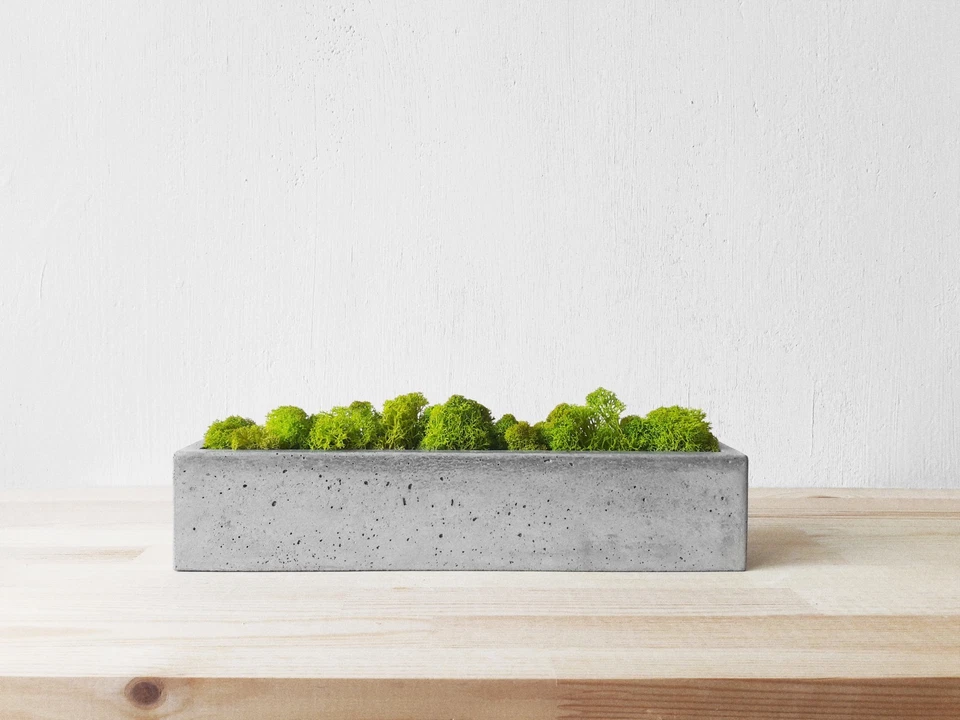 Concrete pot with moss. Housewarming gift. Artificial stone planters - Image 1 of 4