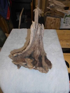 Treibholz / Schwemmholz -Driftwood - Dekoration, Floristik, Garderobe - Bild 1 von 5