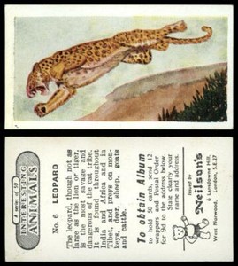 Leopard #6  Interesting Animals 1954 Neilson's Card