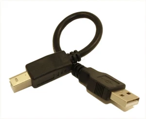 6inch USB 2.0 Certified 480Mbps Type A Male to B Male Cable  Black - Picture 1 of 3