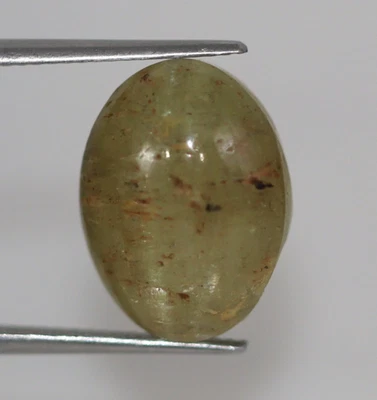 13.79 Ct Natural Green Cat’s Eye Chrysoberyl Loose CERTIFIED BIG Gemstone - Image 1 of 4