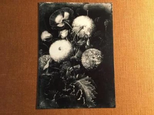 Dutch Flowers J Edwards Original Art Tintype Limited Series From Artist C029 - Picture 1 of 1