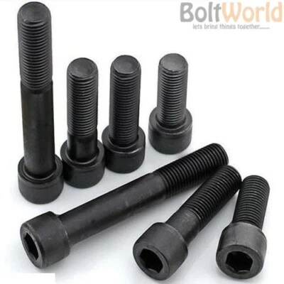 BOLT WORLD M10 x 1.25mm FINE PITCH SOCKET CAP SCREWS HIGH TENSILE BLACK 12.9 ALLEN KEY BOLT