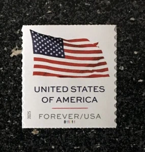 2025USA Forever US Flag - PNC (#B11111) Plate Coil Number Single (BCA) mint - Picture 1 of 1