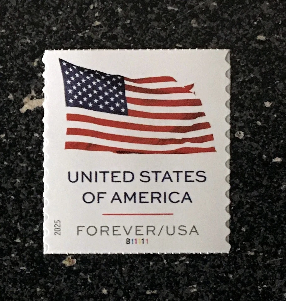 2025USA #6019 Forever US Flag - PNC (#B11111) Plate Coil Number Single (BCA) - Image 1 of 1