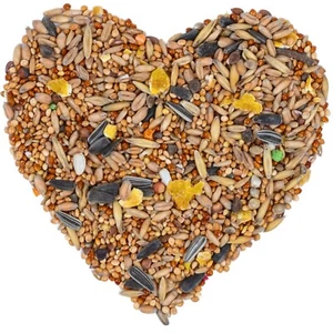 25 kg Nymphensittichfutter Großsittichfutter Ziervögel Vogelfutter Lyra Pet® - Bild 1 von 7