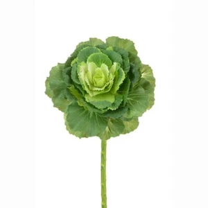 Brassica Zierkohlstiel 46 cm grün - Bild 1 von 1