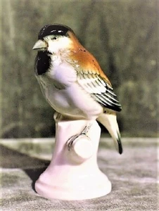 Figura de pájaro animal porcelana Volkstetter manufactura * 5378 - Imagen 1 de 9