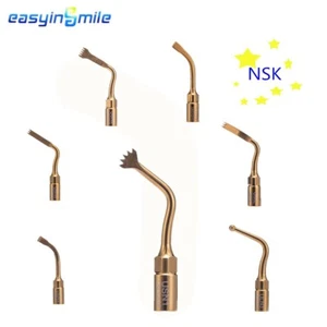 1 Pc Easyinsmile Dental Bone Implant Tips Fit NSK Metron/Woodpecker piezoSurgery - Picture 1 of 12