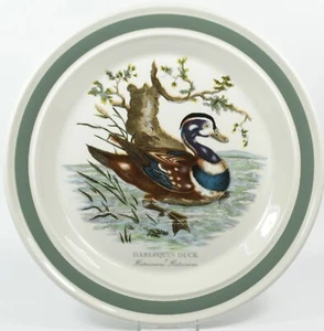 Portmeirion Birds of Britain Plate by E Donovan ~ Harlequin Duck ~ 1978 - Foto 1 di 3
