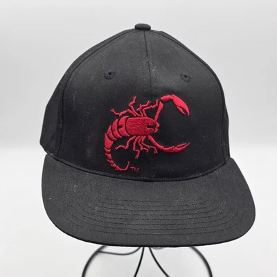 Gorra de colección WCW nWo espalda a presión para hombre talla única lucha libre Sting Wolfpac años 90 Foto 1 de 4