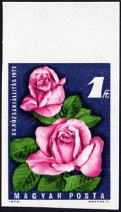 Ungheria - 1972 - Esposizione di Rose - nuovo (MNH) - Unificato n. 2768B - ND - Picture 1 of 1