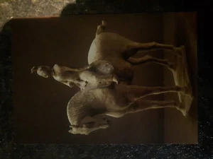 Horse And Rider Tomb Figure China T'ang Period 618-906 AD Unposted Postcard - Imagen 1 de 2