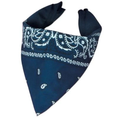 Pañuelo azul fiesta temática country vaquero occidental 22 pulgadas decoraciones de cumpleaños Foto 1 de 2