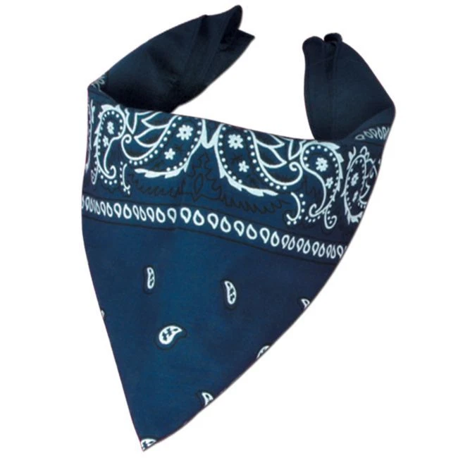 Pañuelo azul fiesta temática country vaquero occidental 22 pulgadas decoraciones de cumpleaños Foto 1 de 2