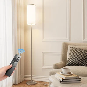Floor Lamp for Living Room, Modern Standing Lamp with Remote Control, Stepless D - Picture 1 of 12