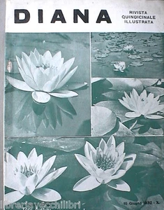 DIANA Jagdzeitschrift 15. Juni 1932 Field trials Setter Sign Hunde - Bild 1 von 1