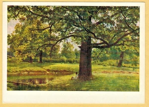 I.Shishkin 1963 Russian postcard OAKS IN OLD PETERHOF Person at the pond - Picture 1 of 2