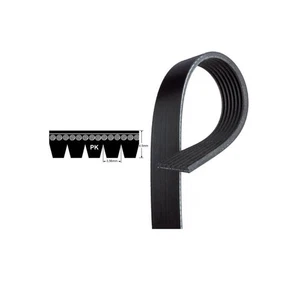 Cinturón en V de repuesto de microcinturón 8PK1670 multi ranura/polietileno V - Ford Mustang - Imagen 1 de 1